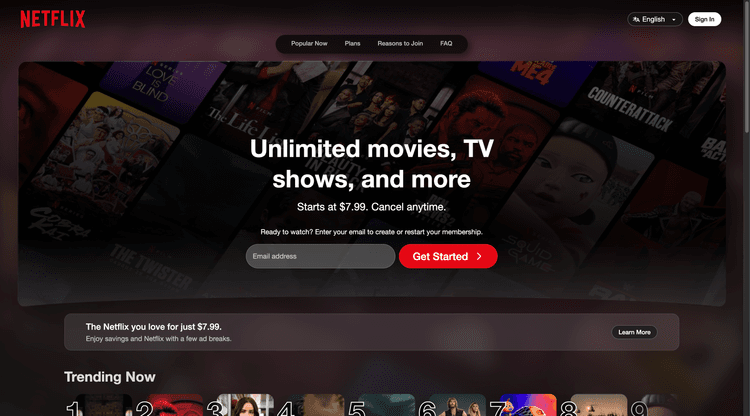 Netflix site